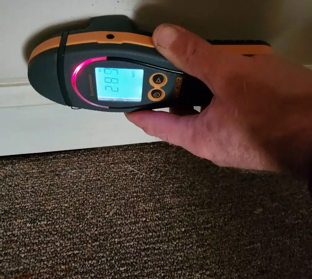 Moisture detection at baseboard during Sewage Cleanup & Sanitation in Long Hill
